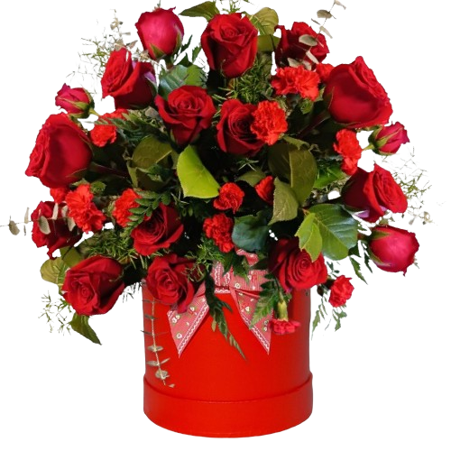 This is a photo of Houston Flowers for any Occasion